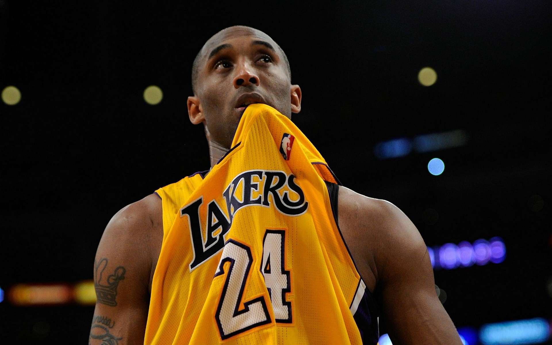 实将落户沙 实将落户沙