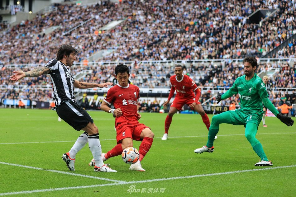 迷的热烈期 迷的热烈期